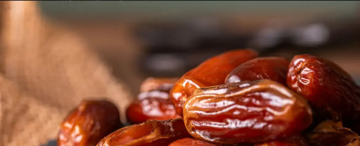 Mr Bet Kaszinó Mobil Elérhetőség